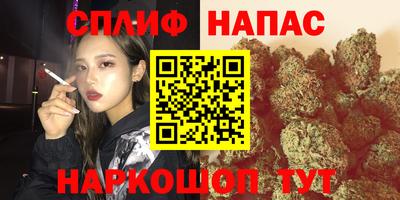 дмт Донской