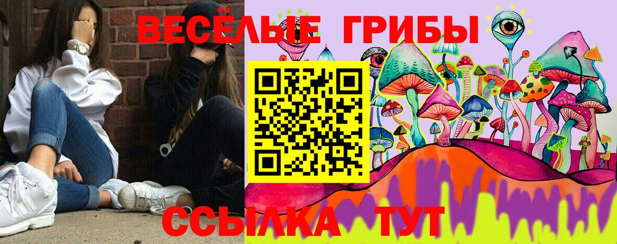 Галлюциногенные грибы Psilocybine cubensis Санкт-Петербург