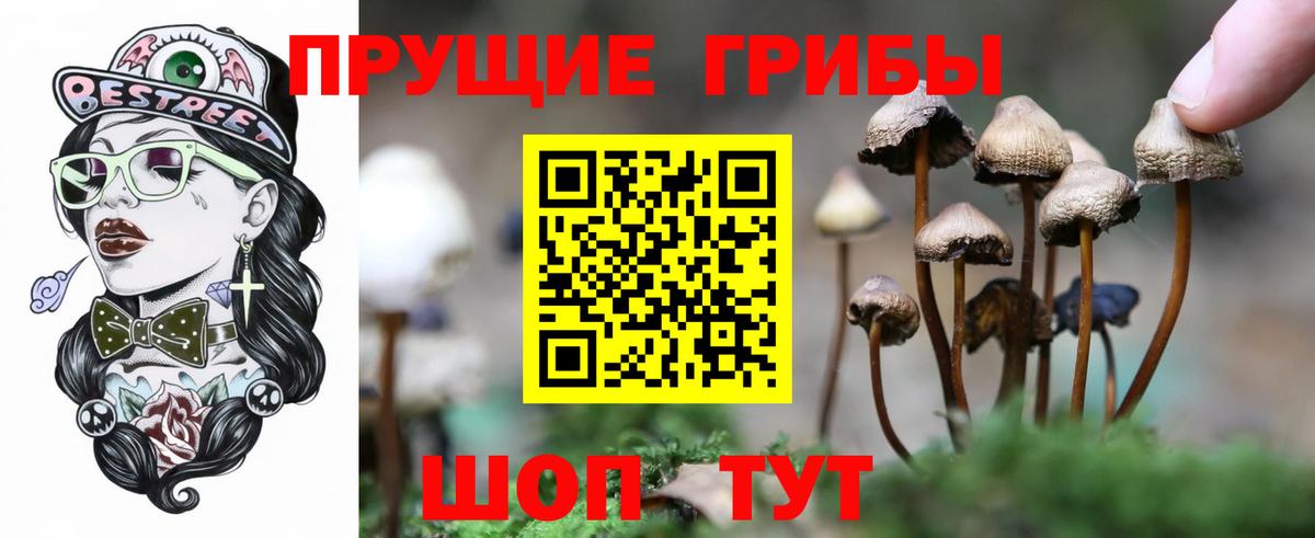 Санкт-Петербург  Галлюциногенные грибы мицелий  Вход с VPN 